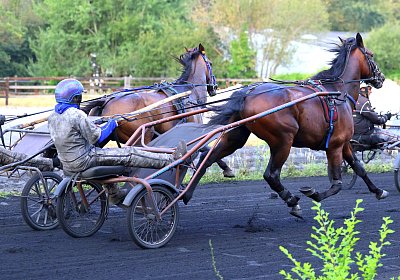 Peterhof 2026 07 31 9N1A2816 Its Showtime