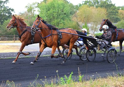 Peterhof 2026 07 31 9N1A2866 Miracle Nana Its Showtime