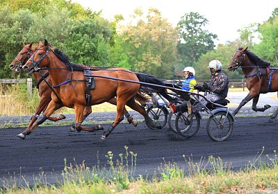 Peterhof 2026 07 31 9N1A2873 Miracle Nana Its Showtime