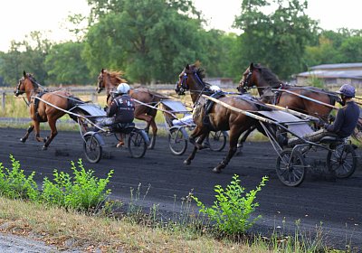 Peterhof 2026 07 31 9N1A2903 Miracle Nana Its Showtime No Mercy