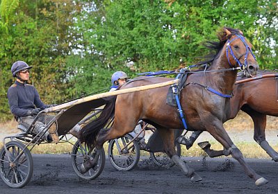 Peterhof 2026 07 31 9N1A2964 No Mercy