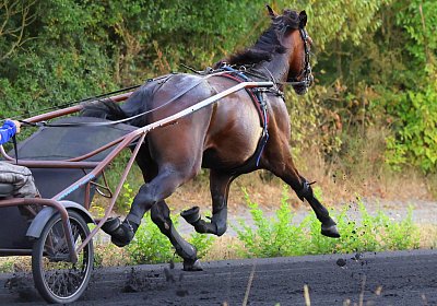 Peterhof 2026 07 31 9N1A2997 Its Showtime
