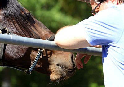 Peterhof 2026 07 31 9N1A5036 Loving
