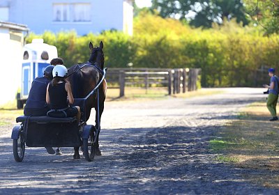 Peterhof 2026 07 31 9N1A5178 Harper Doppelsulky