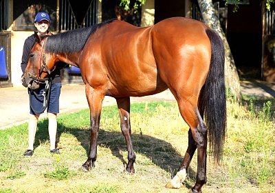 Lamorlaye 2026 08 01 9N1A3050 Beau Gars