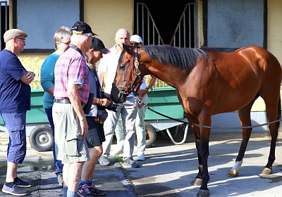 Lamorlaye 2026 08 01 9N1A3097 Beau Gars
