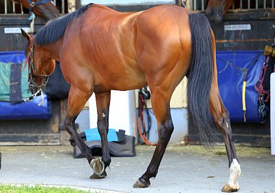 Lamorlaye 2026 08 01 9N1A3170 Beau Gars