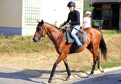 Lamorlaye 2026 08 01 9N1A3446 Beau Gars