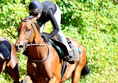 Lamorlaye 2026 08 01 9N1A3495 Beau Gars