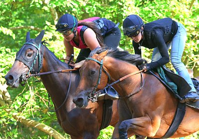Lamorlaye 2026 08 01 9N1A3516 Beau Gars