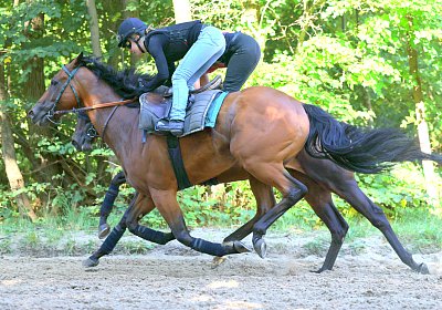 Lamorlaye 2026 08 01 9N1A3533 Beau Gars