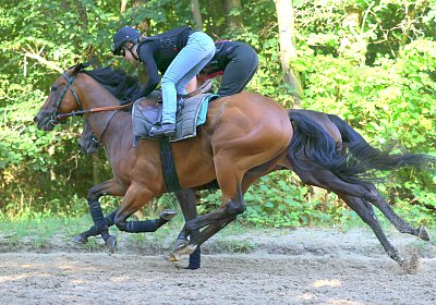 Lamorlaye 2026 08 01 9N1A3534 Beau Gars