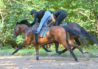 Lamorlaye 2026 08 01 9N1A3537 Beau Gars