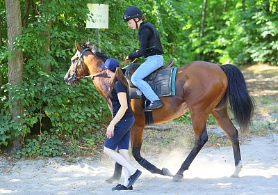 Lamorlaye 2026 08 01 9N1A3597 Beau Gars