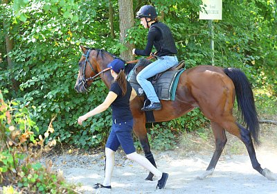 Lamorlaye 2026 08 01 9N1A3600 Beau Gars