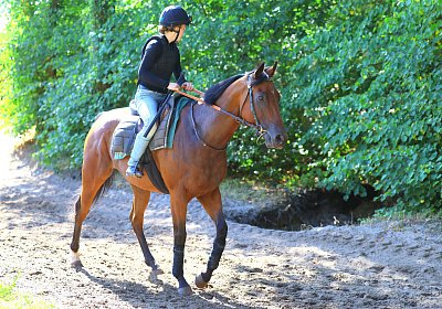 Lamorlaye 2026 08 01 9N1A3616 Beau Gars