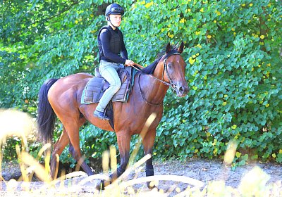 Lamorlaye 2026 08 01 9N1A3646 Beau Gars