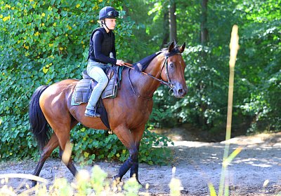 Lamorlaye 2026 08 01 9N1A3647 Beau Gars