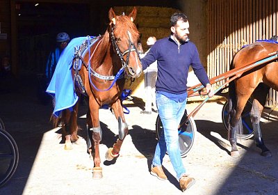 Avenches 2026 09 12 B DSC 5658 Miracle