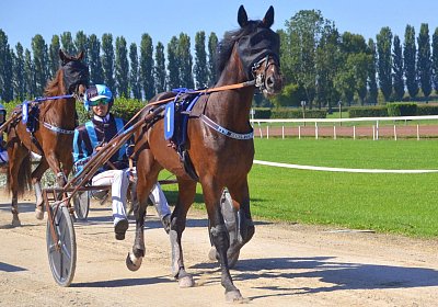 Avenches 2026 09 12 F DSC 5806 Its Showtime Miracle