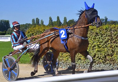 Avenches 2026 09 12 F DSC 5809 No Mercy