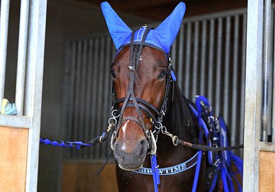 Avenches 2026 10 20 A 9N1A1708 Showtime