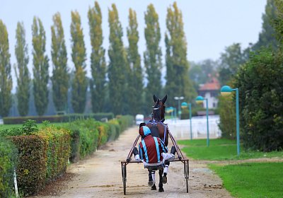 Avenches 2026 10 20 C 9N1A1753 Hove