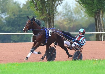 Avenches 2026 10 20 E 9N1A1847 Hove