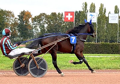 Avenches 2026 10 20 H IMG 7148 Showtime