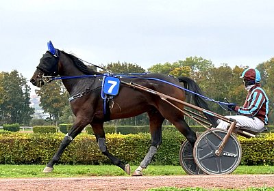Avenches 2026 10 20 R IMG 7182 Showtime
