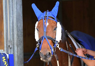 Strassburg 2026 10 23 9N1A2061 Kentucky