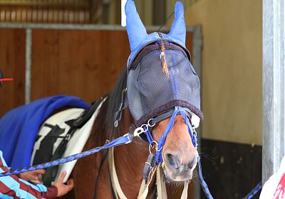 Strassburg 2026 10 23 9N1A2324 Kentucky