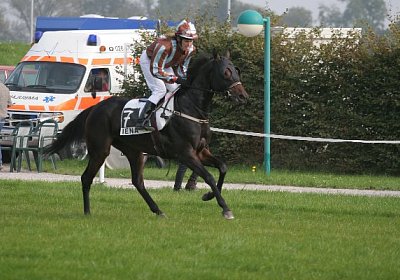 Zaubermaus-Aufgalopp