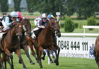 IMG 8584 600x400.jpg