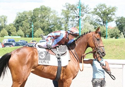 IMG 0730 600x400.jpg