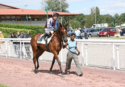 IMG 0732 600x400.jpg