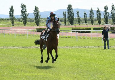 IMG 0743 600x400.jpg