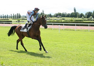 IMG 0745 600x400.jpg