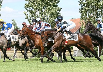 IMG 0755 600x400.jpg