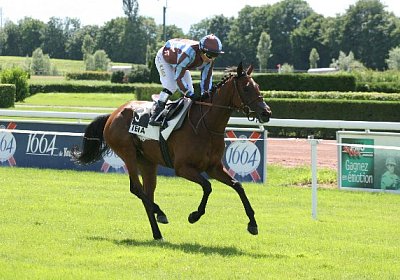 IMG 0772 600x400.jpg