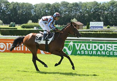 IMG 0773 600x400.jpg