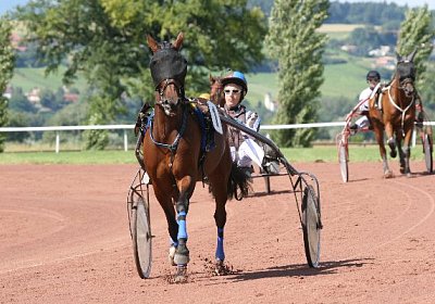 IMG 0779 600x400.jpg