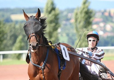 IMG 0780 600x400.jpg