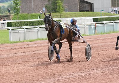 IMG 1182 600x400.jpg