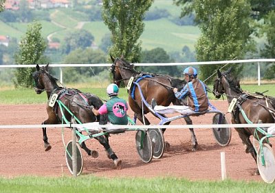 IMG 1187 600x400.jpg