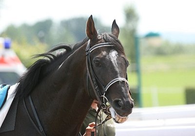 IMG 1213 600x400.jpg