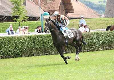 IMG 1221 600x400.jpg