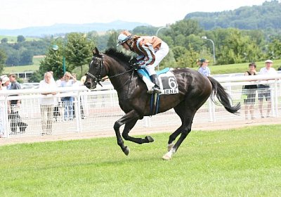 IMG 1223 600x400.jpg