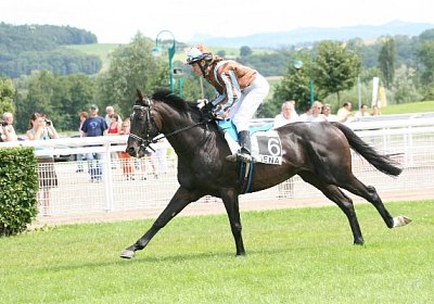 IMG 1224 600x400.jpg