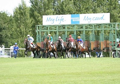 IMG 1239 600x400.jpg